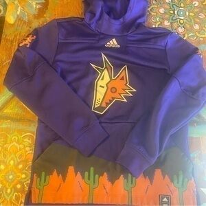 *Really Clean Arizona Coyotes adidas Purple Reverse Retro Pullover Hoodie Size S